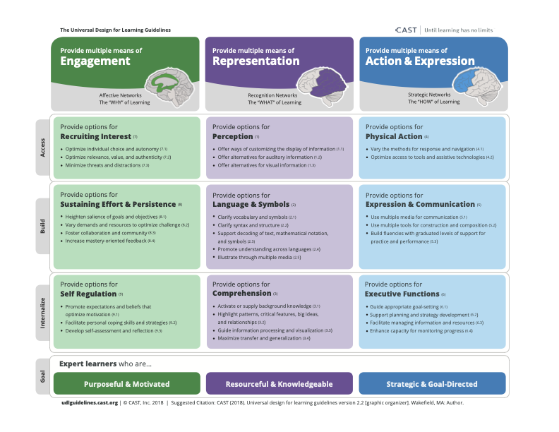 UDL Guidelines Chart